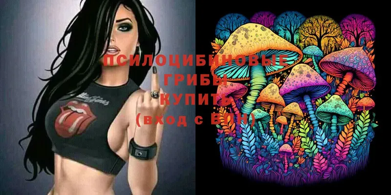 Галлюциногенные грибы Magic Shrooms  цены   KRAKEN вход  Ипатово 